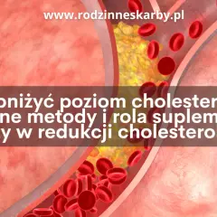 Przekrój naczynia krwionośnego z cholesterolem i czerwonymi krwinkami.