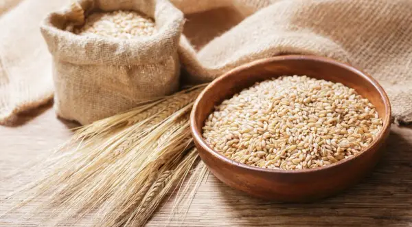 Czy kasza jęczmienna zawiera gluten? Dowiedz się, czy jest bezpieczna