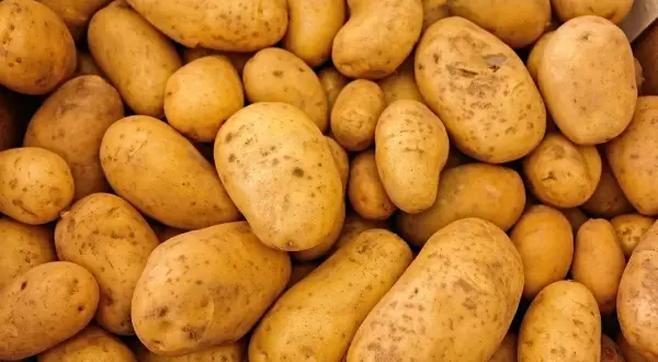 Ile kalorii ma ziemniaki pieczone? Zaskakujące fakty o kaloriach