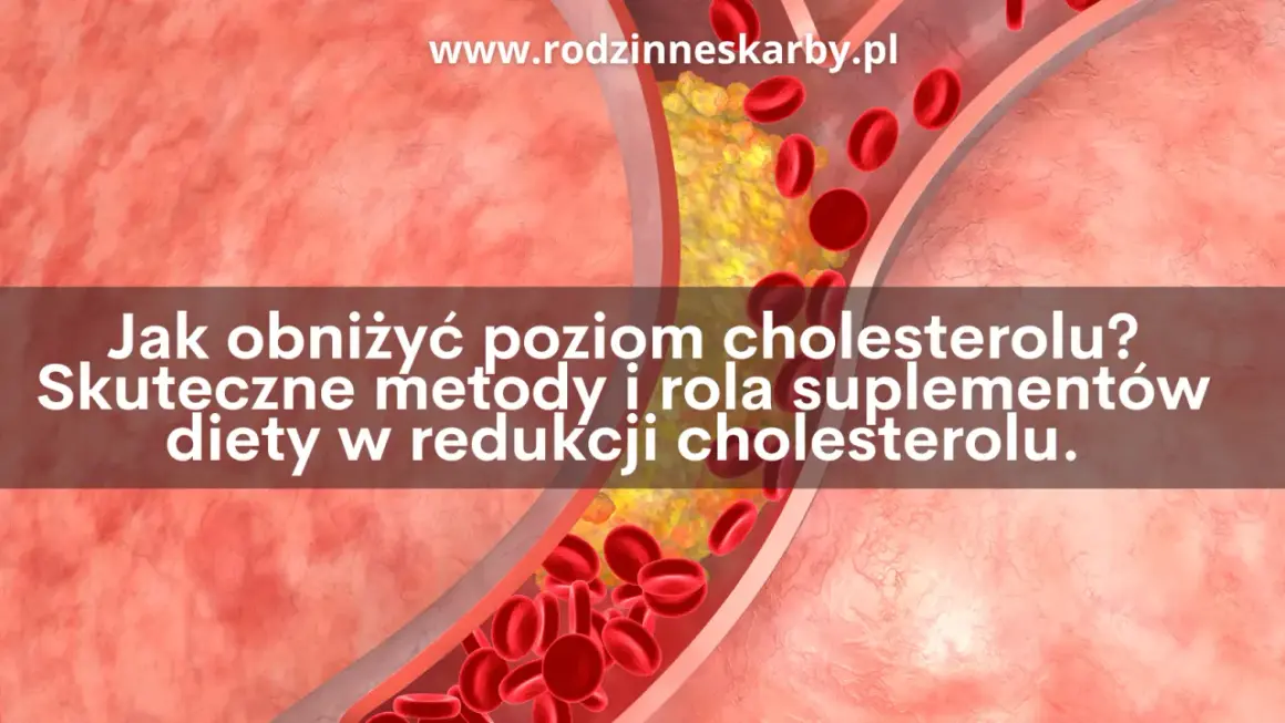 Przekrój naczynia krwionośnego z cholesterolem i czerwonymi krwinkami.